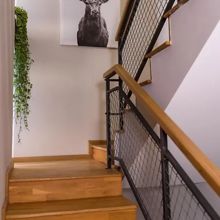 Tamtam Urban Cluj-Napoca