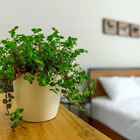 Aparthotel Tamtam Urban Cluj-Napoca