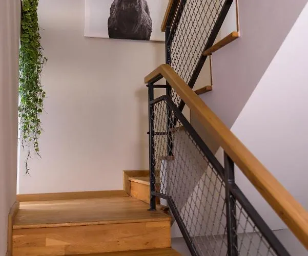 Tamtam Urban Kolozsvár